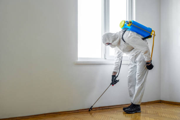 Best Best Pest Control Companies  in Willows, CA