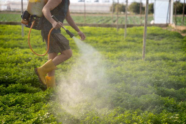 Best Residential Pest Control  in Willows, CA