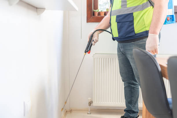 Flea Control Services in Willows, CA